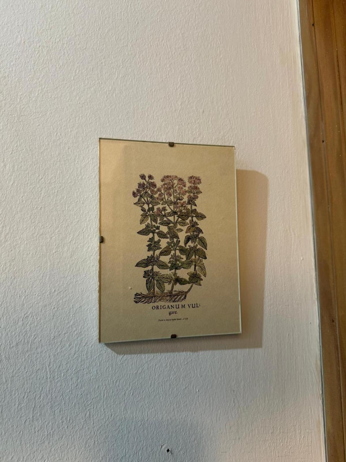 אל פוארטו דה סנטה מריה Apartamento Casa Palacio 1890. מראה חיצוני תמונה